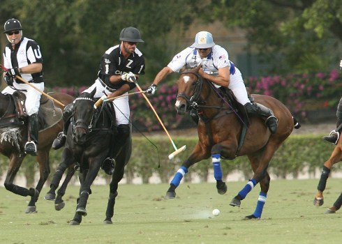 Zacara 8, Valiente 7