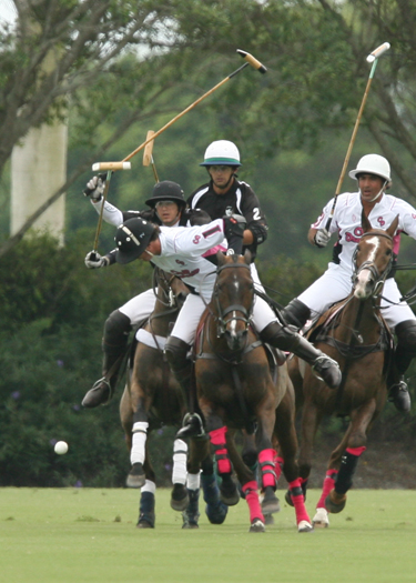 polo photos alex pacheco polo mag ipc polo club 2013 crab orchard audi polo teams 6