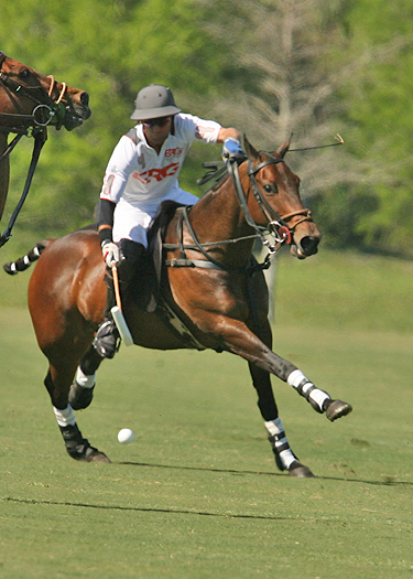 alexpacheco polo photos polo teams erg ipc polo club florida 5