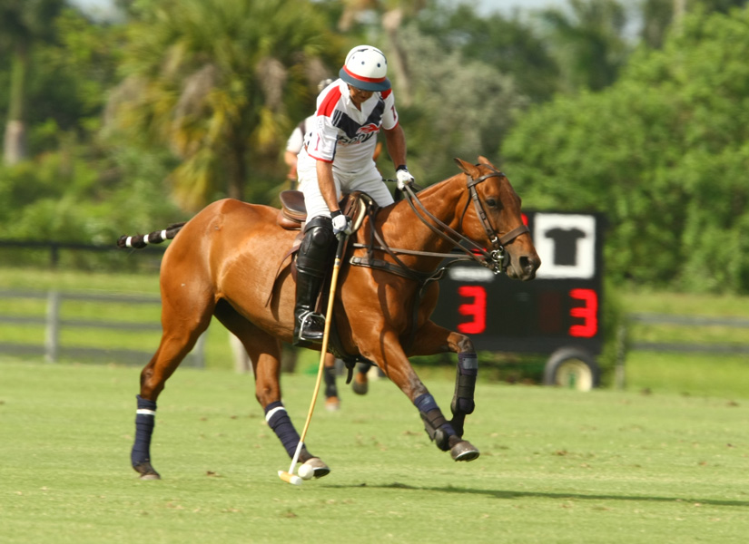 Round-Robin-USPA Eastern Challenge Polo Tournament Polo Mag Pacheco photos 11