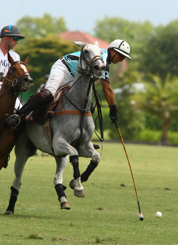 longfield eastern challenge polo tournament polo mag pacheco photos polo mag 7