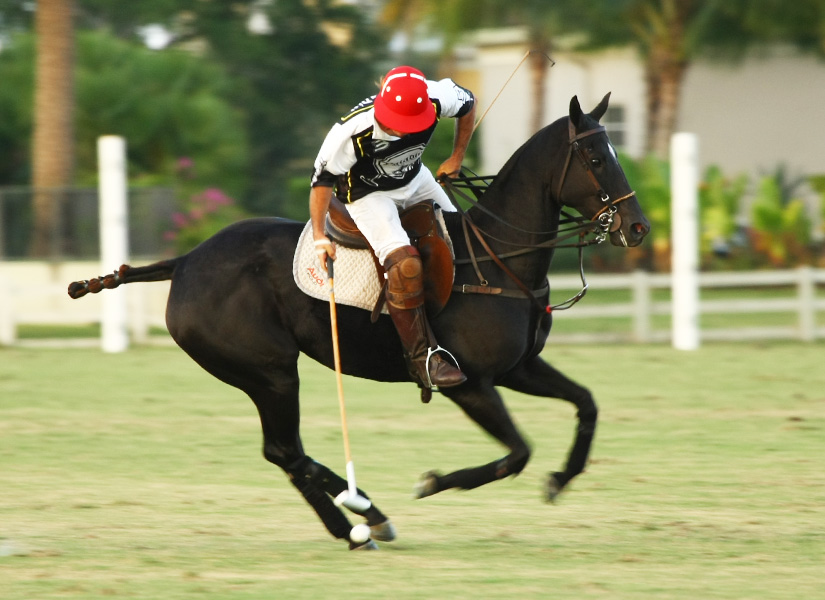 polomagazinepedromorrisonpolocuppachecophotos 6