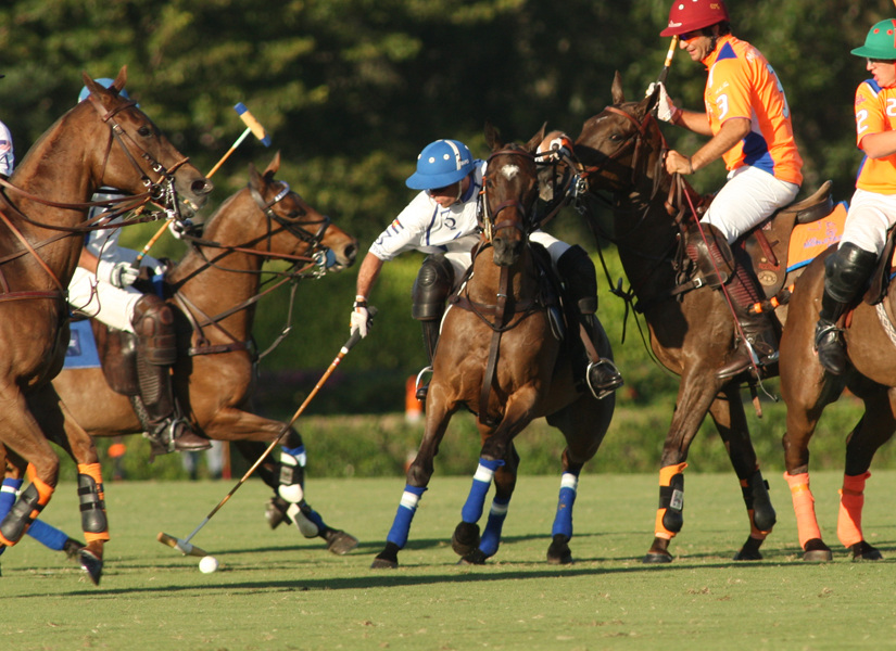 Joe Barry Memorial CupValienteLas Monjitaspolomagazinepacheco 3