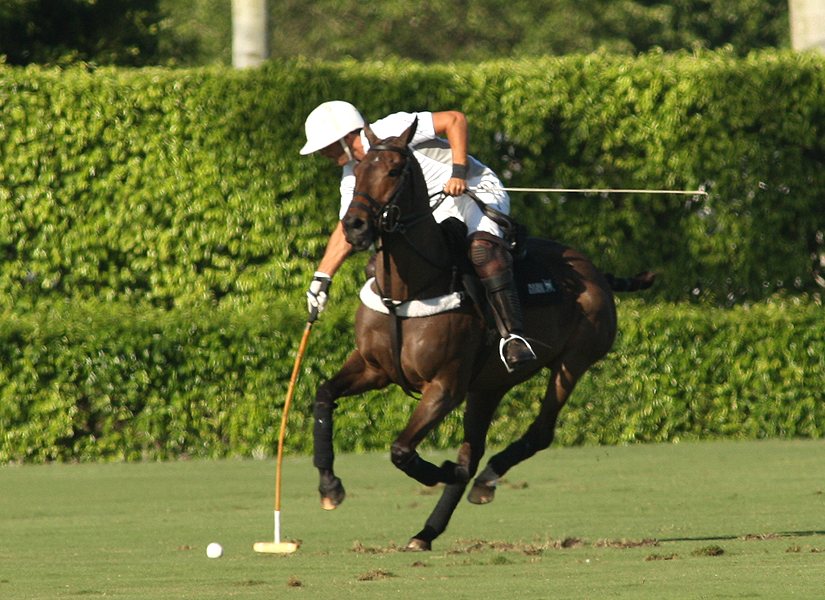 polomagazinepachecojoebarry2014polotournamentpolocup 3