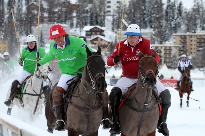 horses 16634998776 o Small