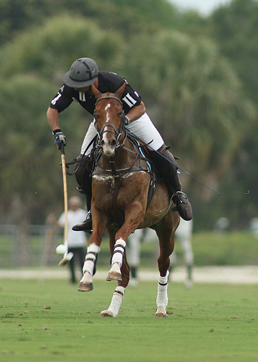 PhotoPresidentCupPachecoUSPoloOPEN2013POLOMag 4