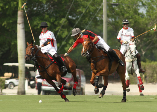 US Openpolo photos pacheco Orchard Hill Alegria polo magazine 6