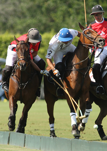 alexpacheco polomag 4