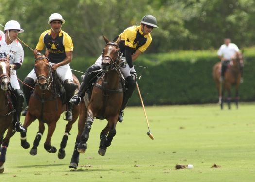 pacheco polo photos us open polo championship florida polo magazine faraway lechuza 6