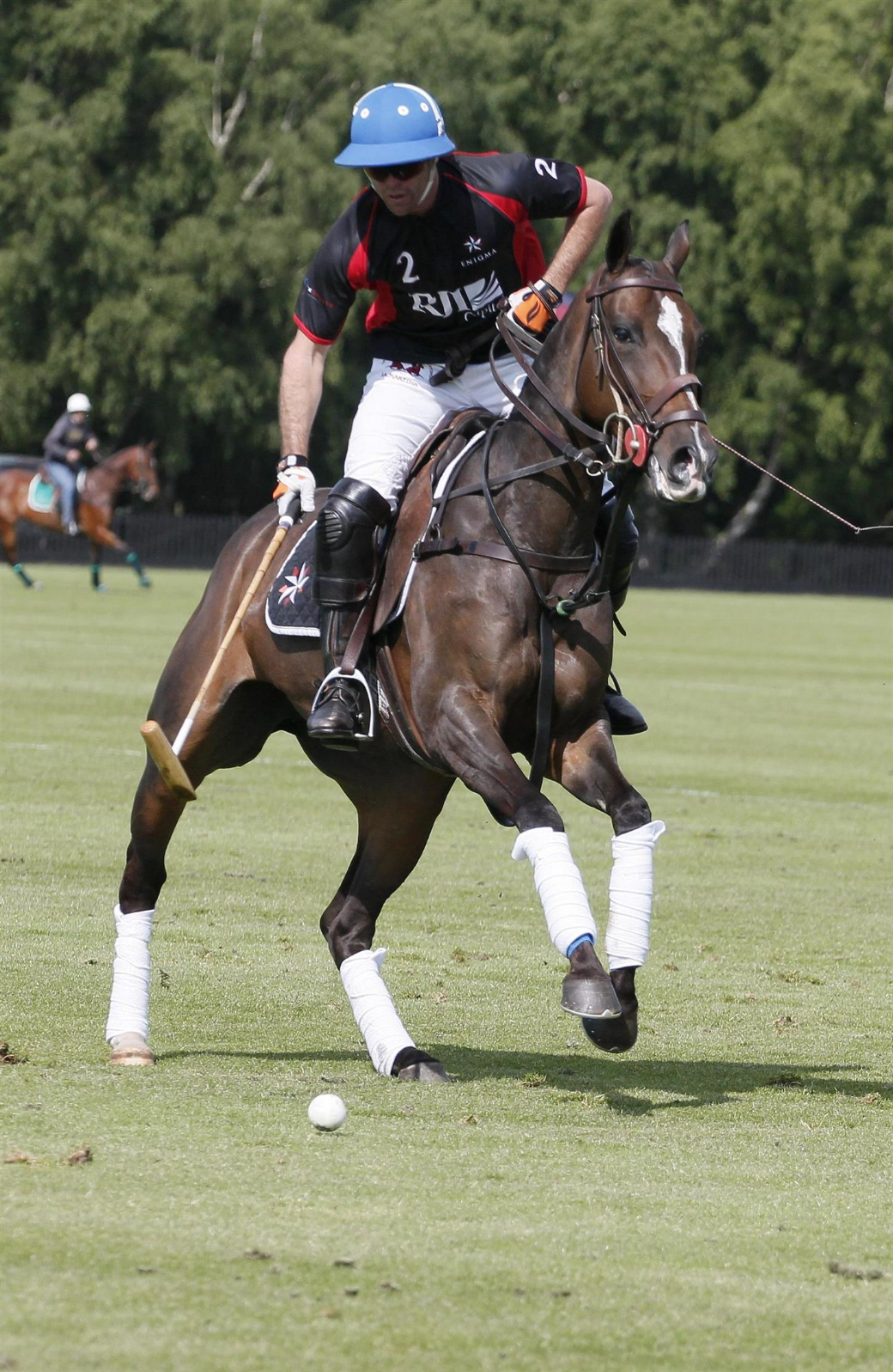 polo tournament queens cup 2013 uk polo celine genonceau polo photograph 17
