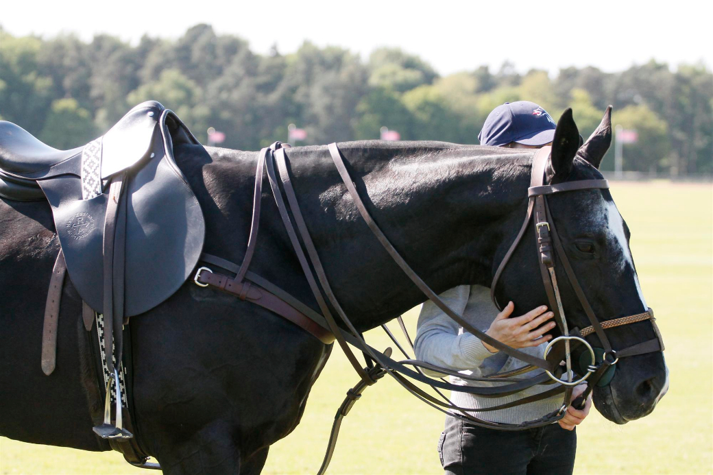 les lions polo team polo cartier queens cup 2013 celine genonceau polo magazine 1