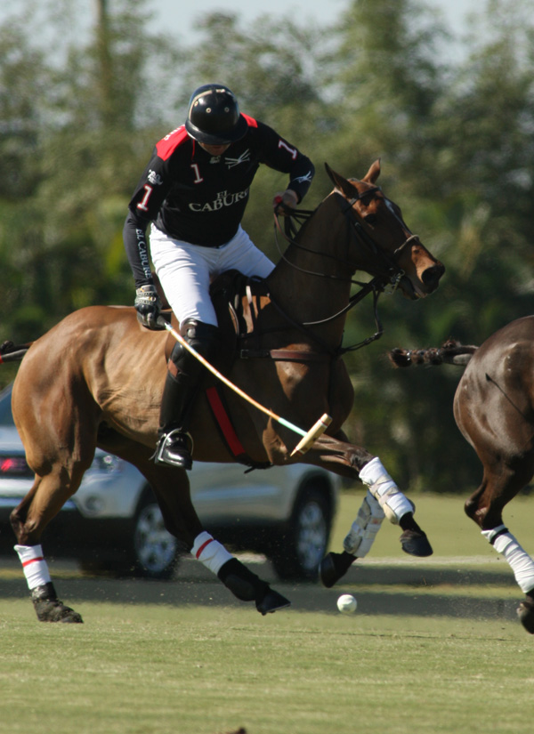 PolomagazineBobBarry CupFlight Options ElCaburepoloteamPhotoPacheco 7