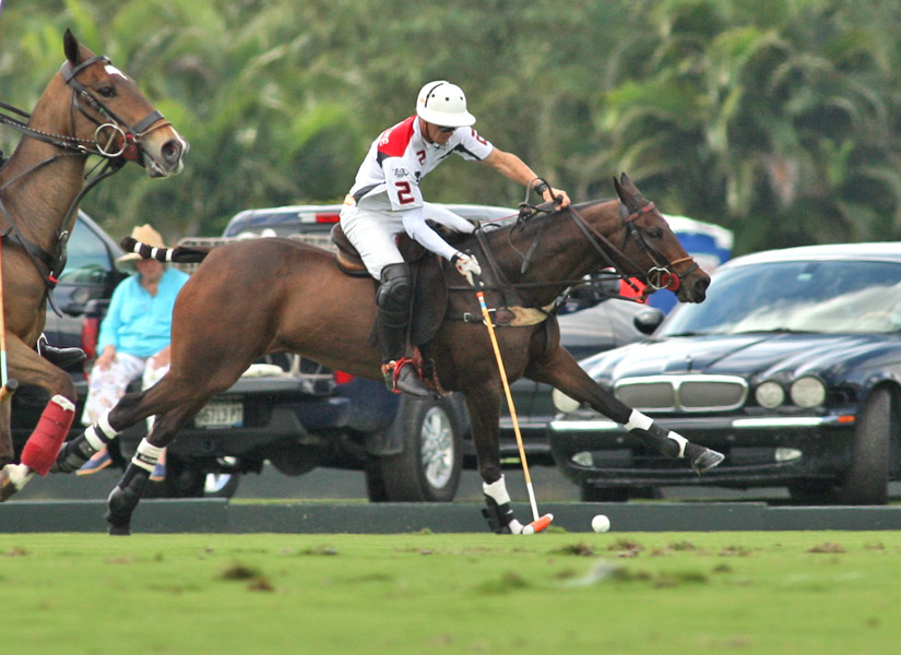 Photos-Palm Beach Illustrated vs. el Cabure